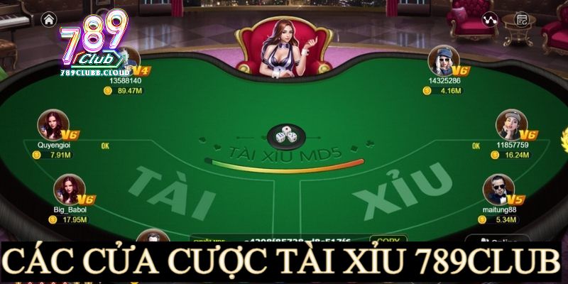 Những cửa cược phổ biến siêu phẩm tại 789CLUB Những cửa cược phổ biến siêu phẩm tại 789CLUB